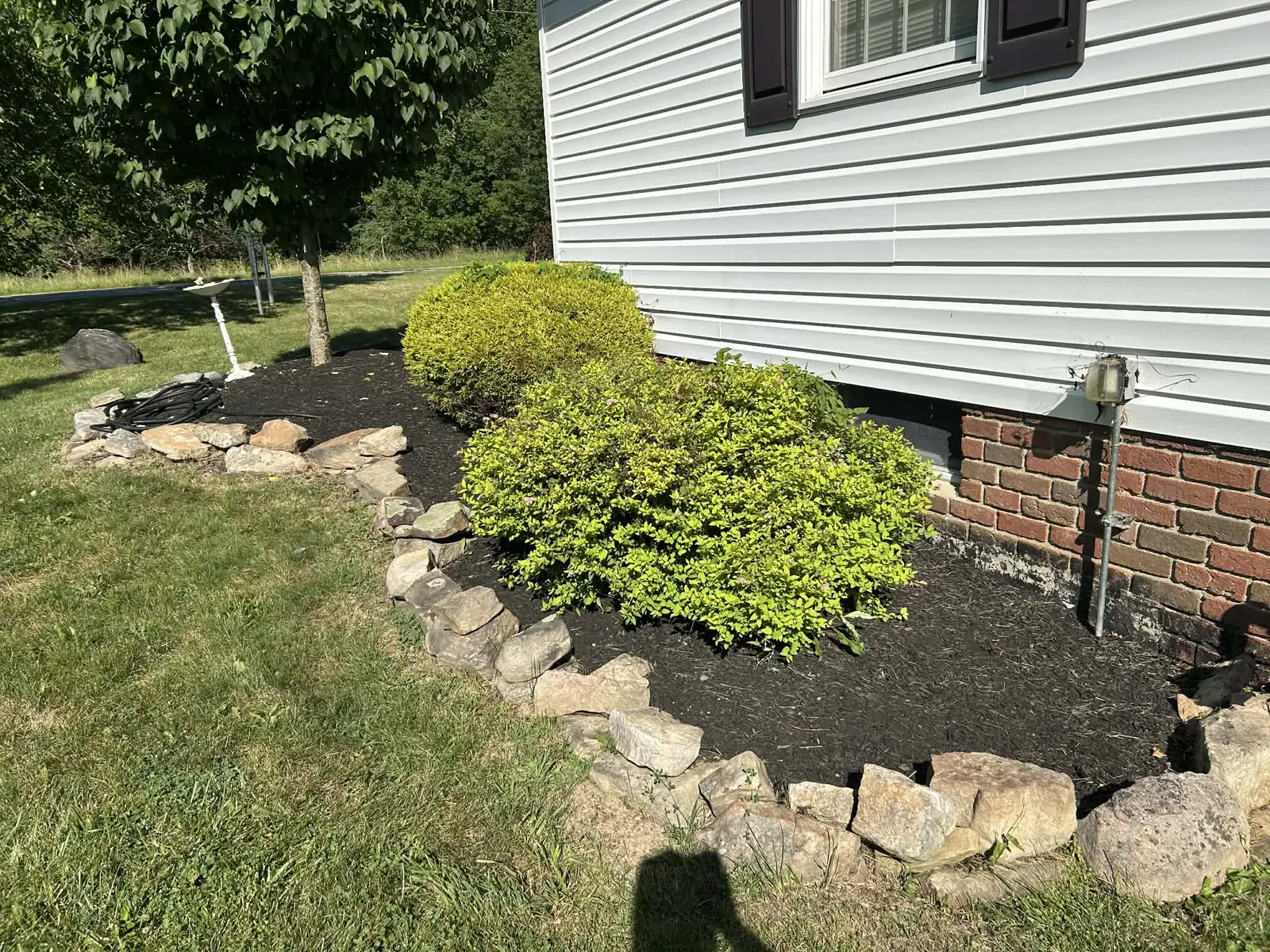 Mulched foundation bed with trimmed shrubs and natural stone edging
