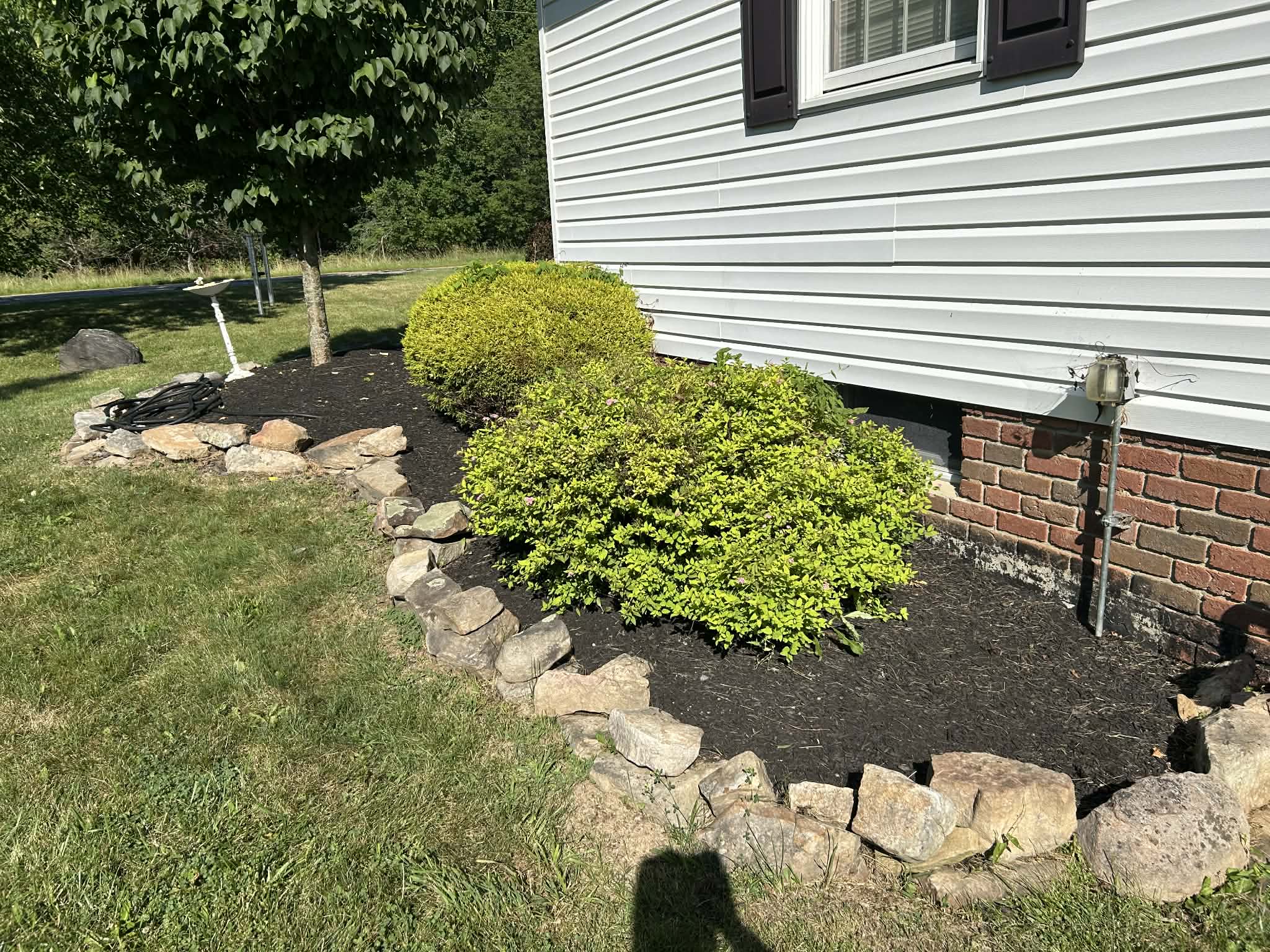 Landscaping project photo 6